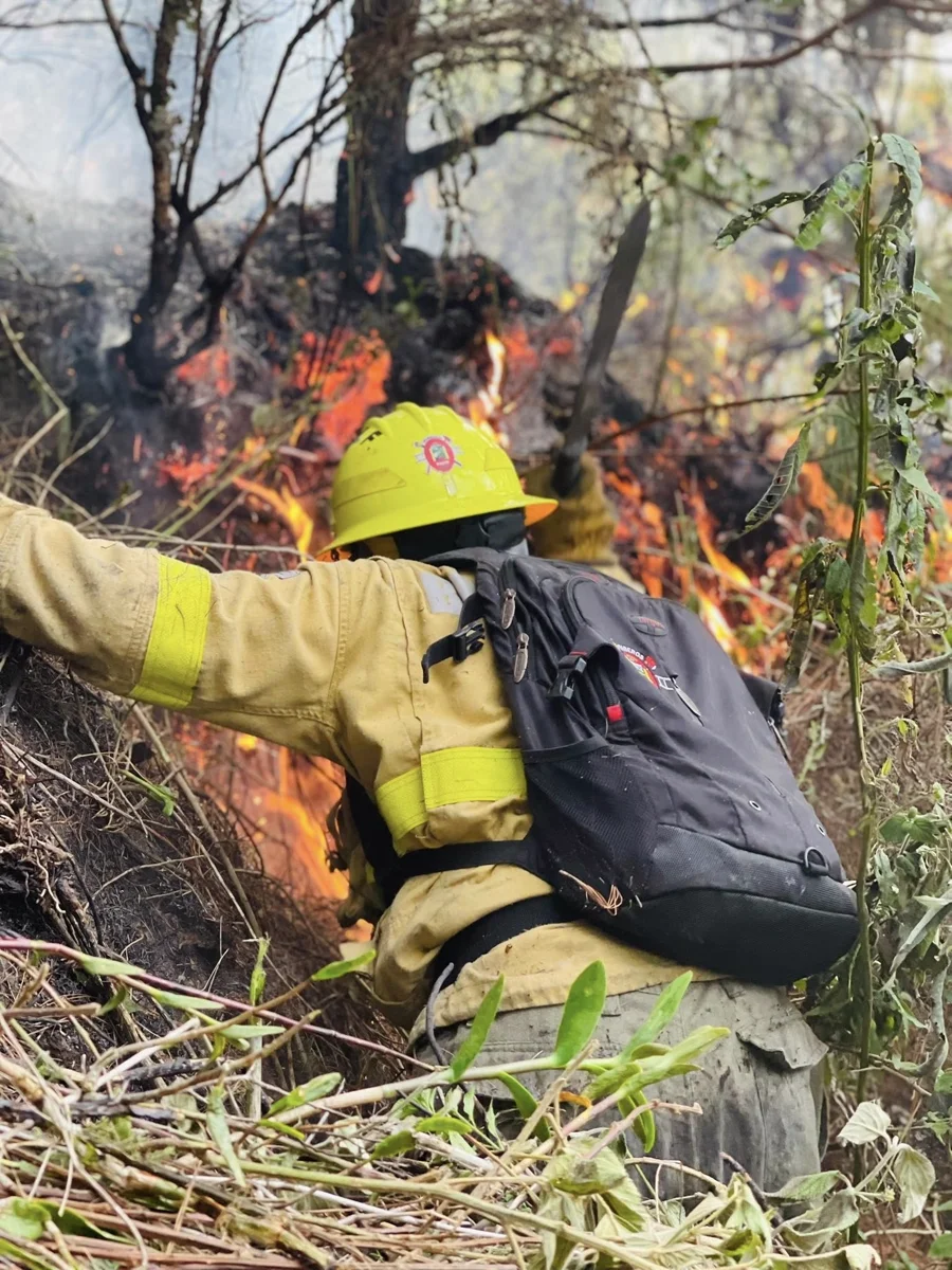 Consejos de Prevención — Cuerpo de Bomberos Paute
